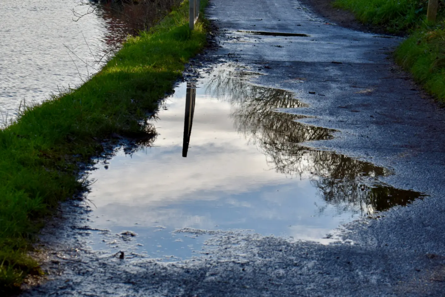 Standing water pooled along the edge of a paved surface