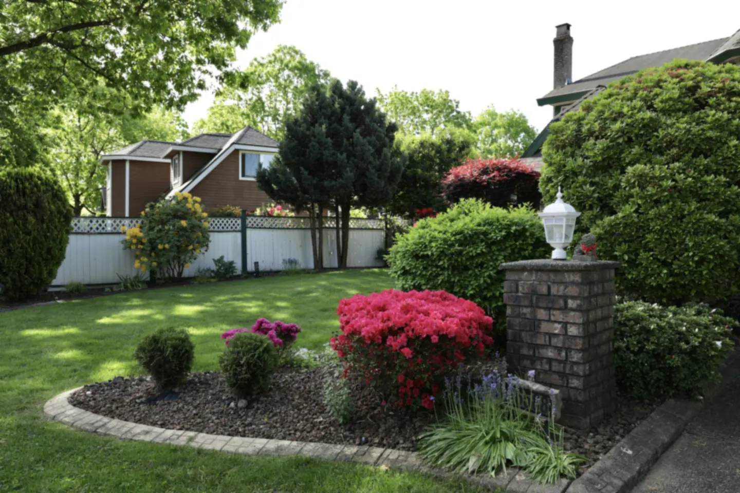Curved mulched beds and flowering azaleas across a front yard