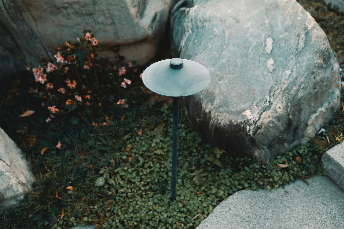A low path light beside a boulder and planting after dark