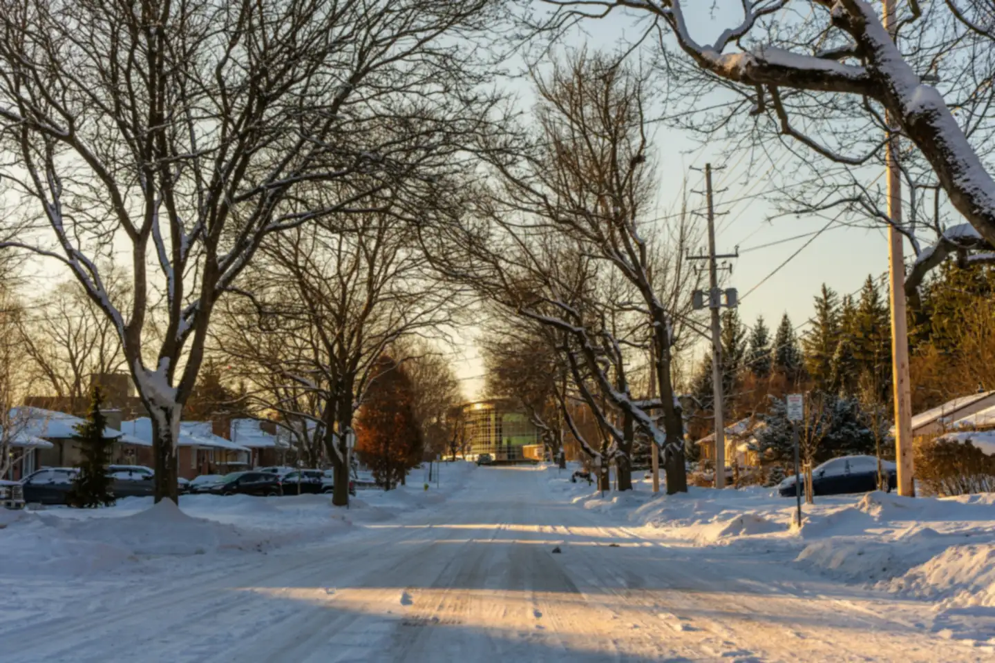 A snow-covered residential street lined with bare trees